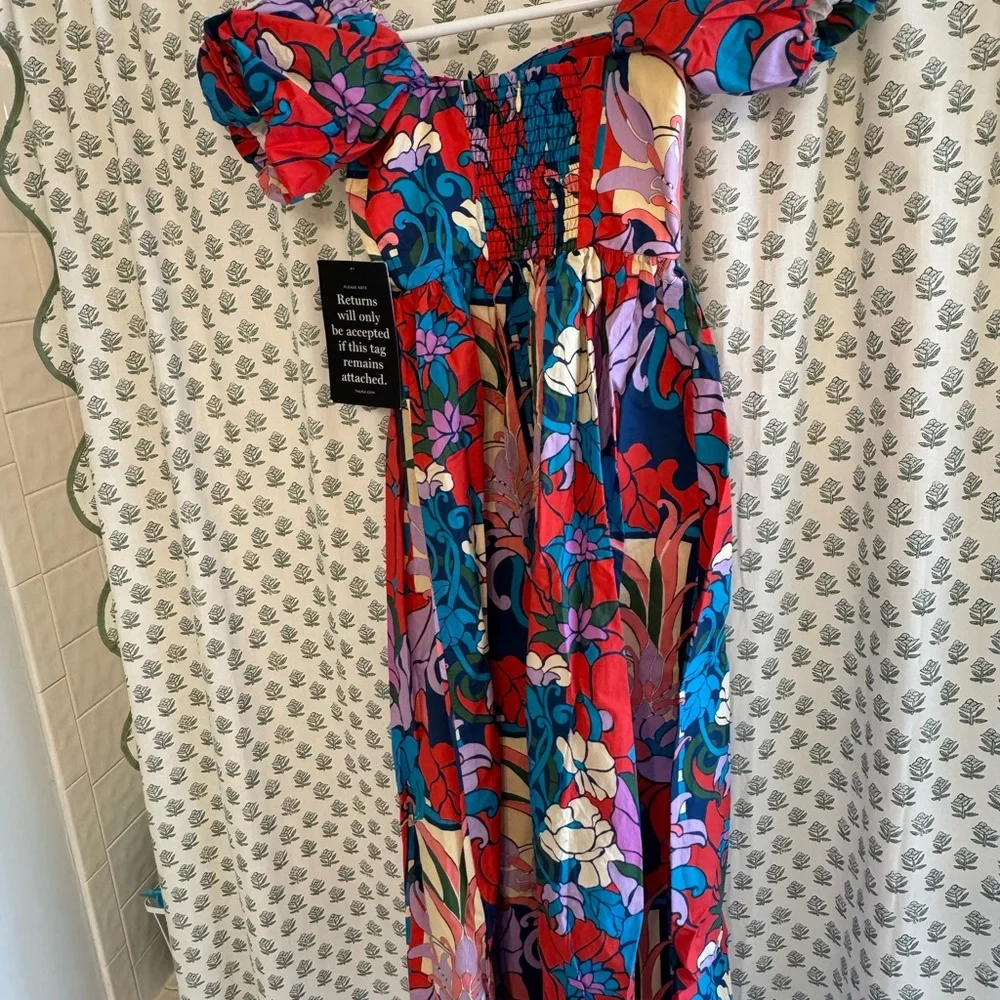 Tuckernuck climbing cosmos maxi dress - Picture 6 of 8